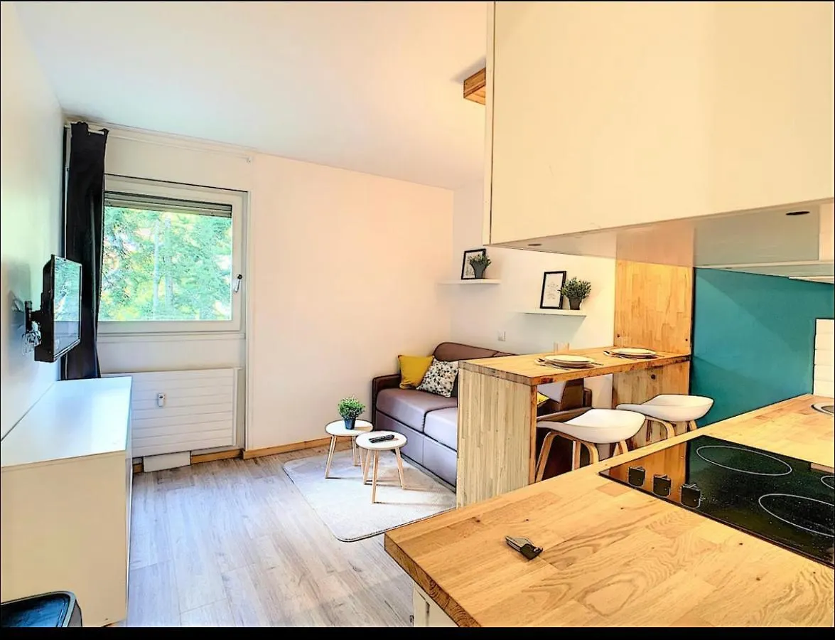 Centre Saint-Gervais Studio Vert Moderne 2 Pers Proche Telecabine Saint-Gervais-les-Bains